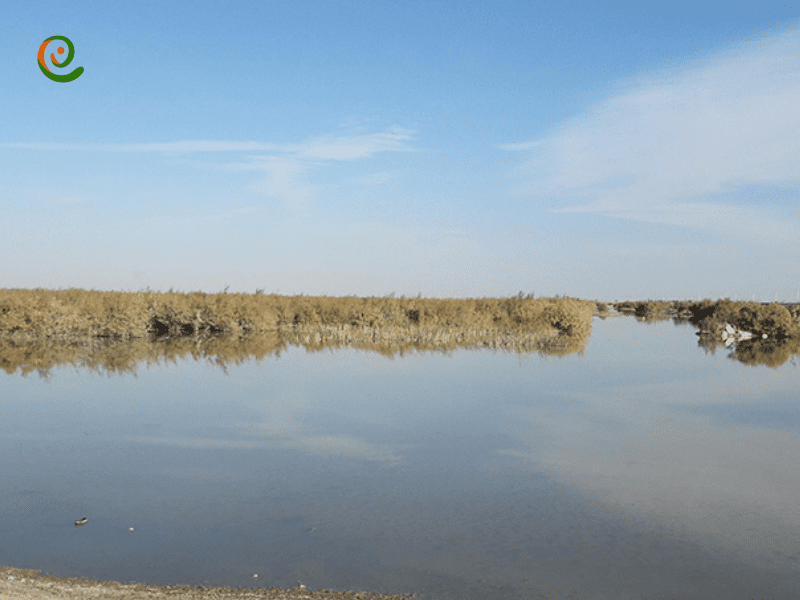 دریاچه هامون دریاچع ای اسرار امیز و خاص  در استان سیستان و بلوچستان درباره آن در دکوول بخوانید.